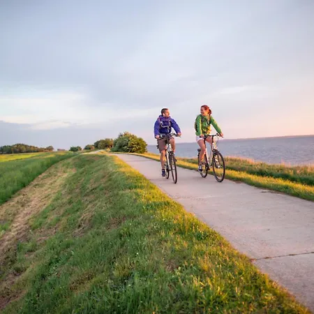 Sanddorn, Strandaster Apartment *