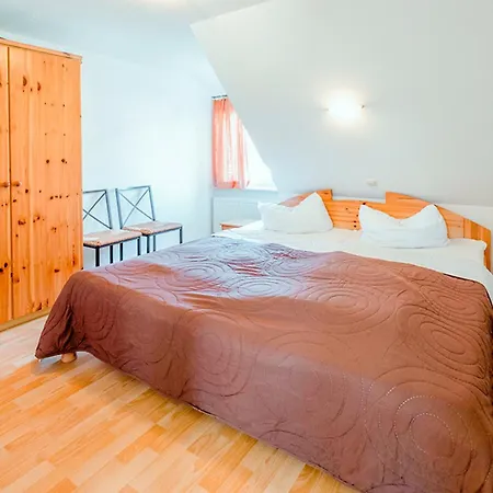 Sanddorn, Strandaster