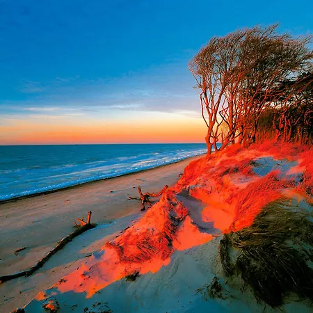 Apartment Sanddorn, Strandaster *