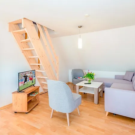 Sanddorn, Strandaster