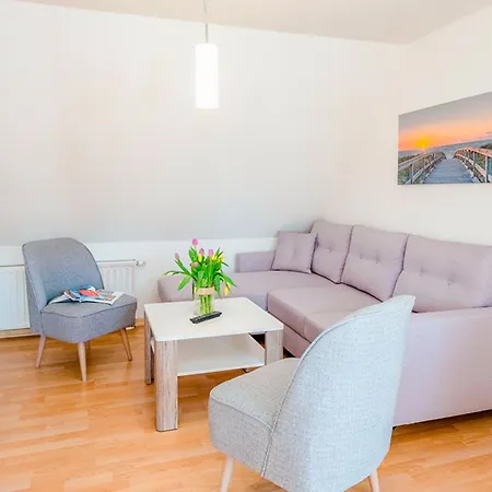 Sanddorn, Strandaster *